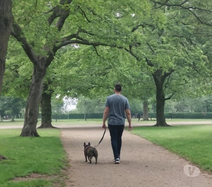 part time jobs Leicester City Centre Leicester - Photos for Leicester dog walker - flexible hours, set your own rate
