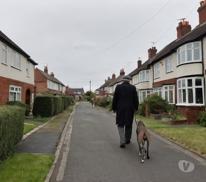 Part Time Jobs | Work from Home Coventry City Centre Coventry - Photos for Coventry dog walkers wanted - work around your schedule
