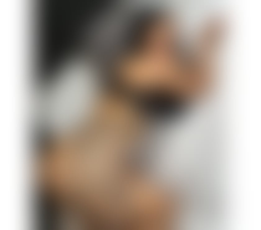 Escorts and Massages Bath Bath and North East Somerset - Photos for ALL NATURAL CAMILA 😈 BEST SERVICE 💯🍸