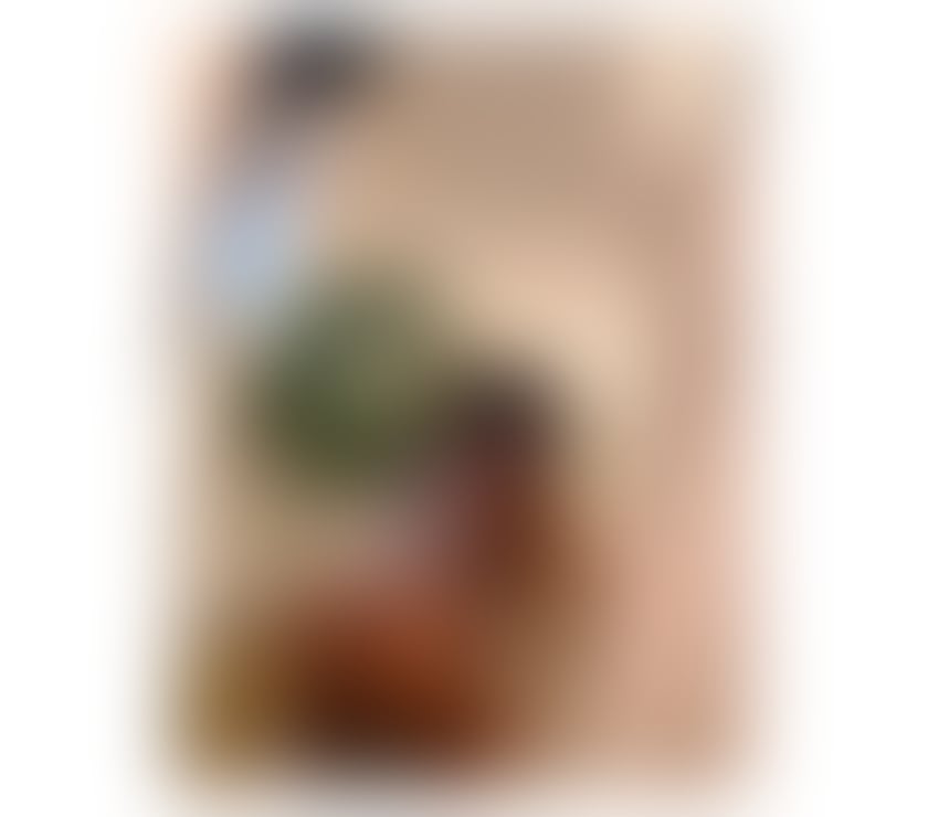 Escorts Bristol Bristol City Centre - Bristol - Photos for Paula a hot and sexy girl 🍑🔥I love parties
