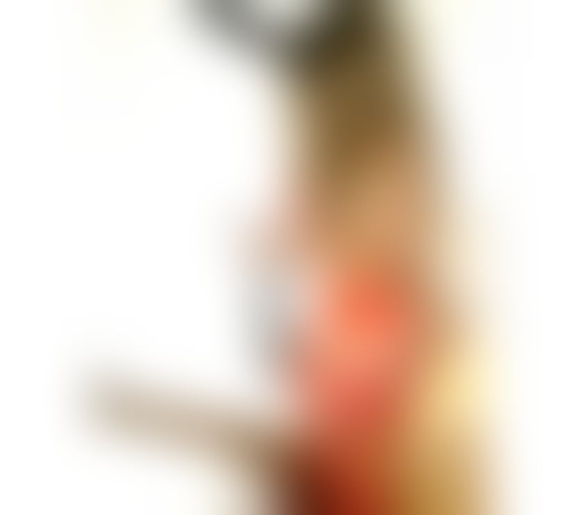 Escorts Essex Colchester - Photos for Paola 🍑NEW LATINA IN TOWN ❤️ DominatrixX 💋Party