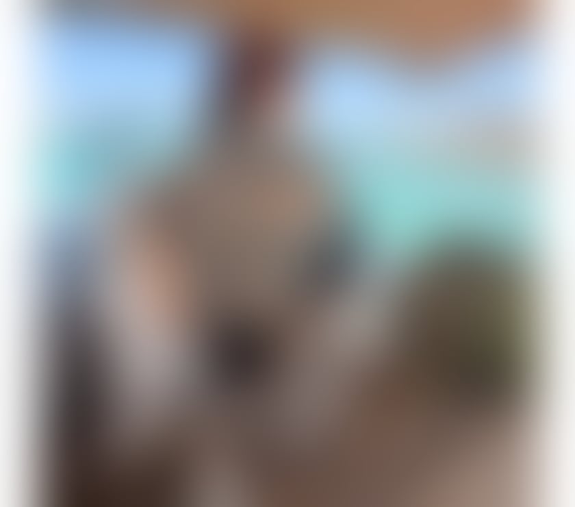 Trans Escorts Slough Slough Town Centre - Slough - Photos for Sexy Bella beauty feminine