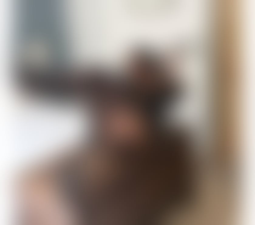 Escorts Norfolk Norwich - Photos for SEXY MEL, AMAZING EBONY, PARTY GIRL, GFE