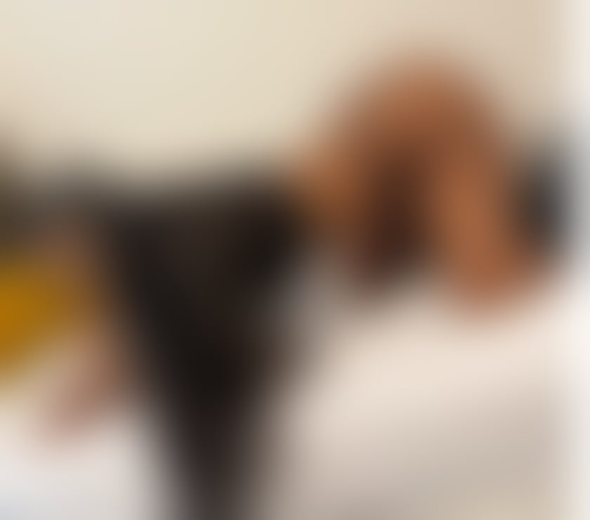 Escorts South Yorkshire Sheffield - Photos for Lívia, the party girl who is perfect for you, Dominatrix.