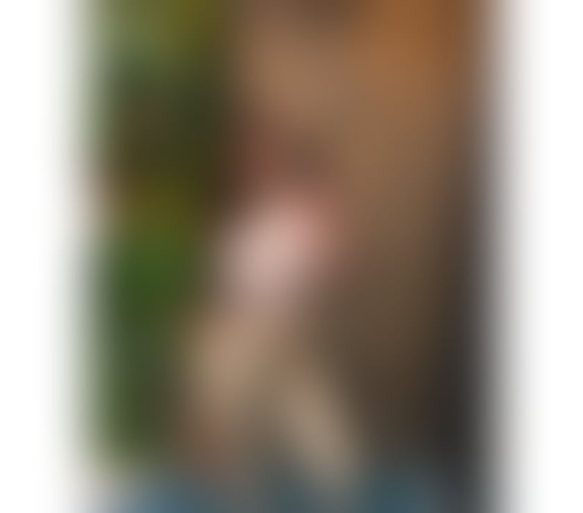 Escorts Leicestershire Leicester - Photos for Lucy back in town