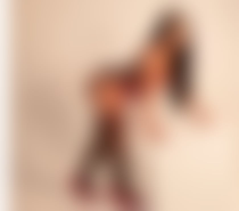 Trans Escorts North London Finchley - North London - Photos for LUANA XL TS BRAZILIAN REAL DOMINATRIX, HORNY-WITHOUT TABOOS
