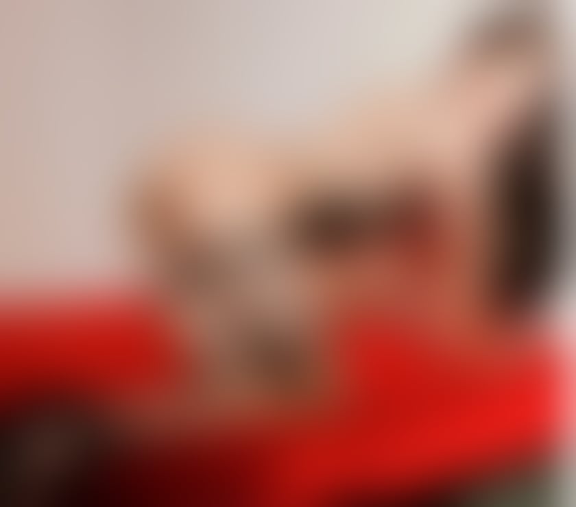 Escorts Essex Colchester - Photos for ❤️‍🔥I'm ZOEY sexy Thai Ladyboy in ✅COLCHESTER now