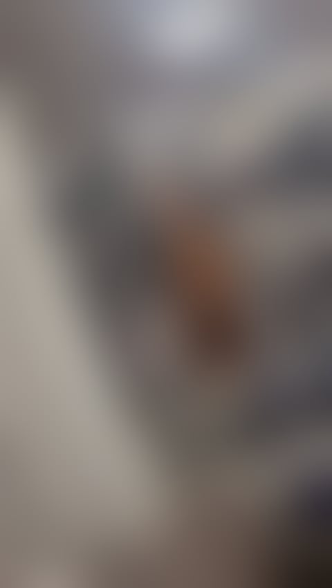 Escorts South West London Richmond upon Thames - 
