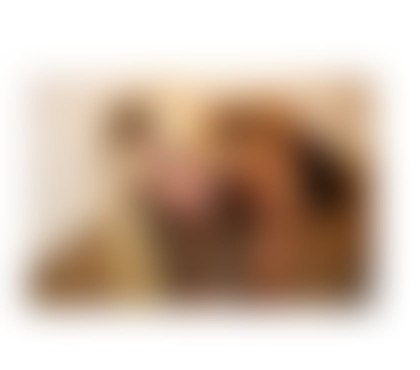 Trans Escorts Bedfordshire Central Bedfordshire - Photos for TRANSEXUAL XXl BEDFORD 🍾🔝🎵🎶🍾🥂🥳 LUANNA