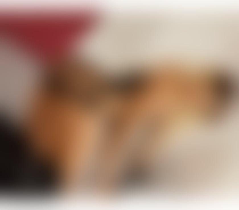Escorts Bedfordshire Luton - Photos for FIRST TIME IN Luton ❤️ LUXURY GIRL REAL