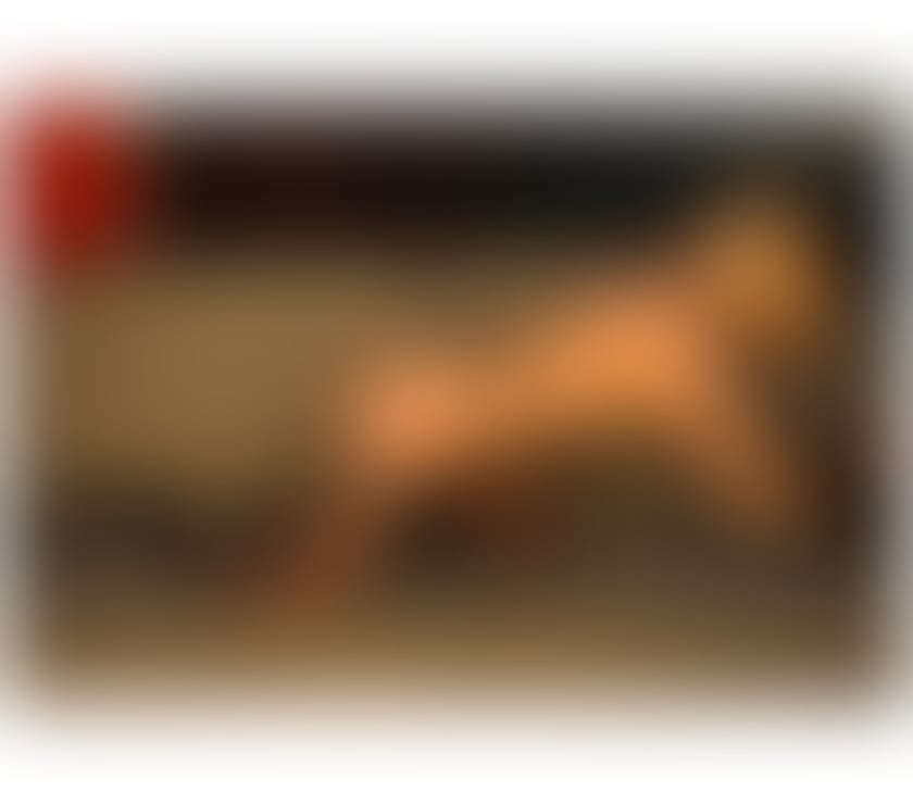 Escorts Essex Southend-on-Sea - Photos for KAMILA hot love gril