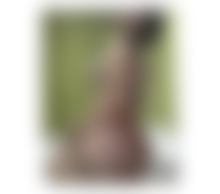 Escorts Edinburgh Edinburgh - Edinburgh - Photos for 💎 ARIANA — BEAUTY THAT SPEAKS FOR ITSELF