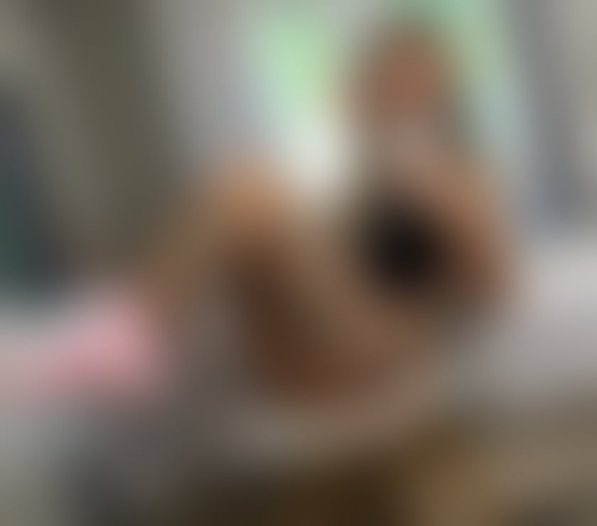 Escorts Bracknell Forest Bracknell - Bracknell Forest - Photos for YOU FOUND WHAT YOU’RE LOOKING FOR