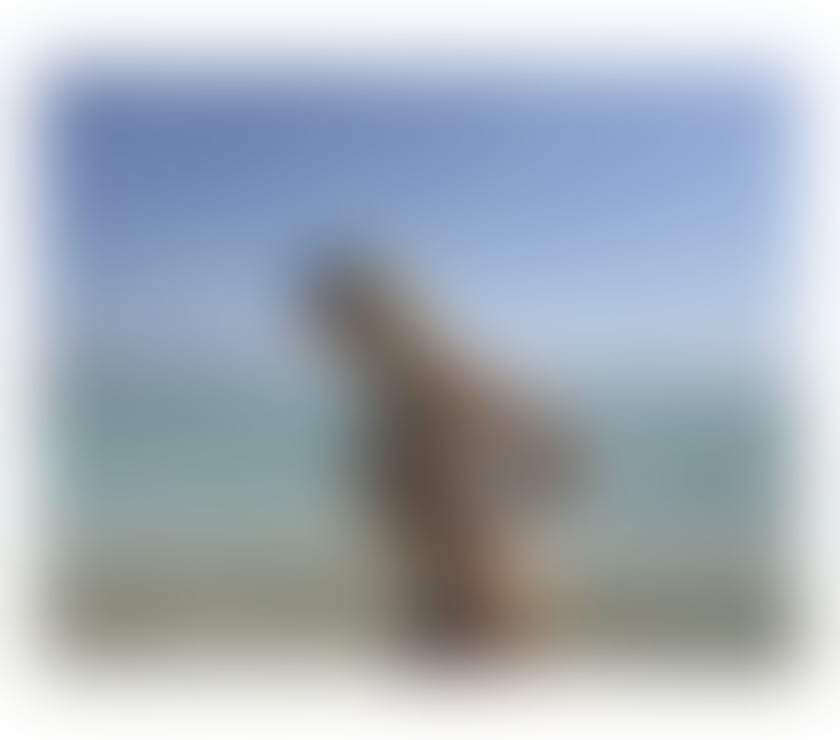 Escorts Surrey Reigate and Banstead - Photos for ❤️❤️CARLA THE BEST GIRL INCOOL&OUTCOLL✅❇️