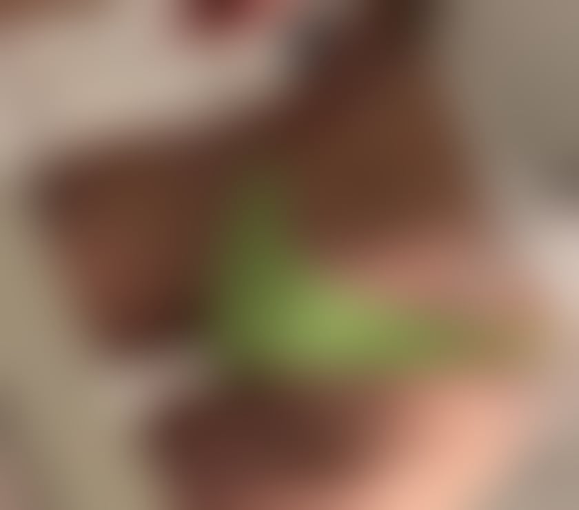 Escorts Cumberland Carlisle - Cumberland - Photos for Alicia's 👄New&Real☎️IN&OUT💯
