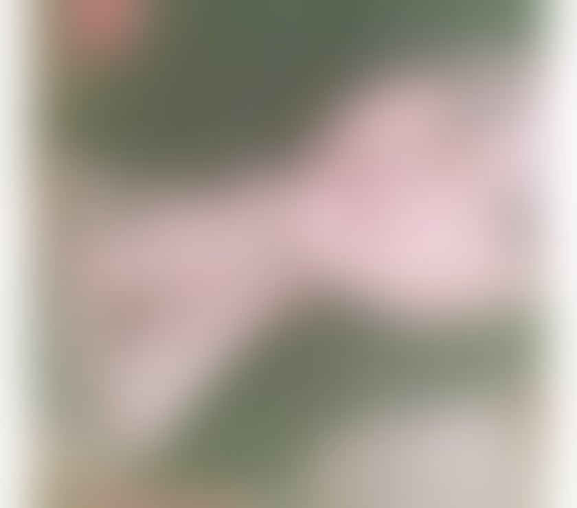 Escorts West London Hillingdon - Photos for SEXY LISA💜BEST SLOPPY BJ OWO 💋BBW