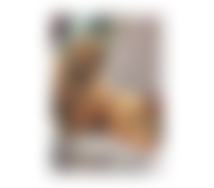 Escorts Lincolnshire Lincoln - Photos for I look forward to seeing you in my company🥰