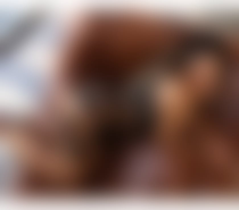 Trans Escorts East London Stratford - East London - Photos for Brunna Best Rated