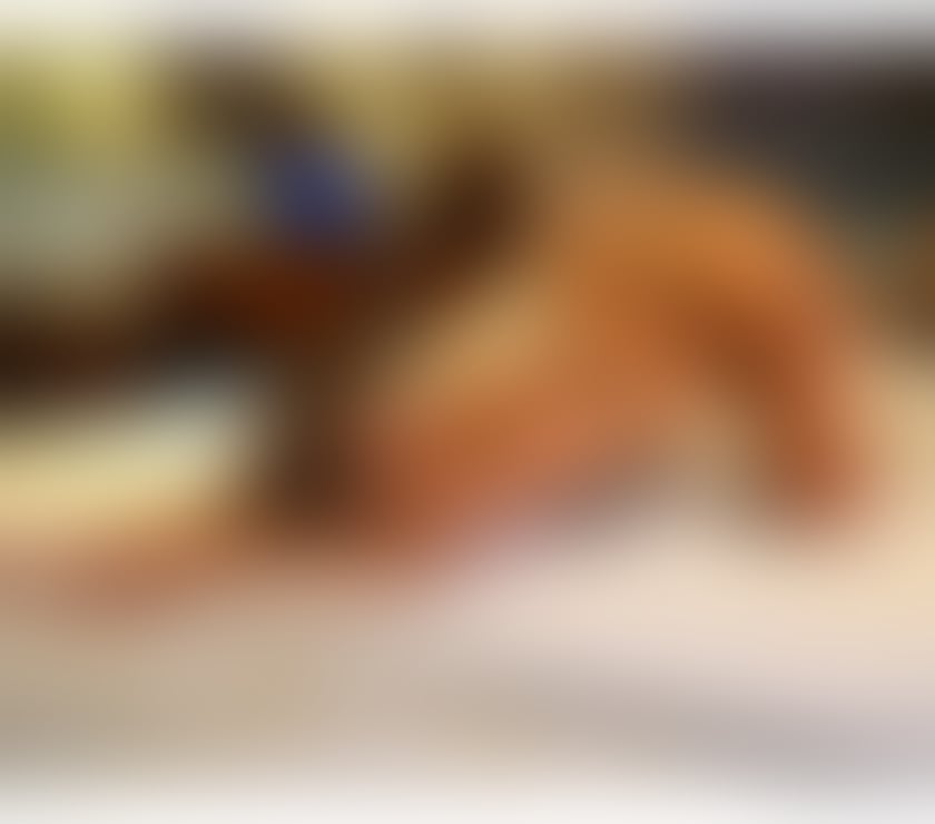 Escorts Halton Runcorn - Halton - Photos for Maryanny First time in the city, Hot Brazilian Girl 😈😈