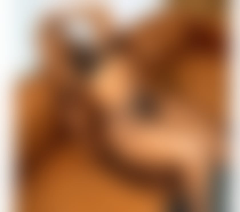 Escorts Cheshire East Crewe - Cheshire East - Photos for Hi my love, I'm in Crewe—a new, sexy woman🔥🔥
