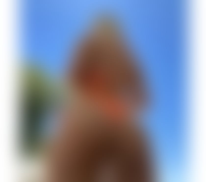 Escorts Stirling Stirling City Centre - Stirling - Photos for Stunning STACIE🔥Party Gfe💕NEW in STIRLING🔝✅