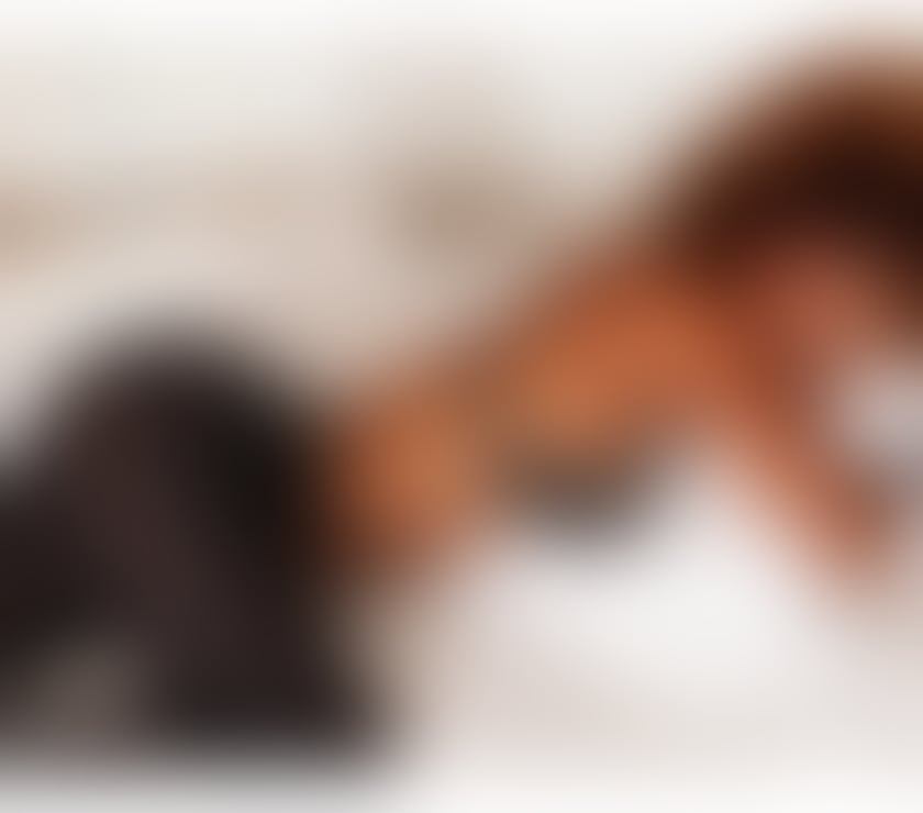 Escorts Tyne and Wear Newcastle upon Tyne - Photos for Dominic Carter - Brazilian Independent