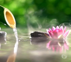 Chelsea - South West London — Thai Massage, Full Body, Deep Tissue Massage & Extras