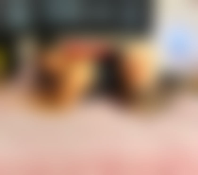 Escorts Stirling Stirling City Centre - Stirling - Photos for NEW NEW Marina_Brunette NEW BRAZIL