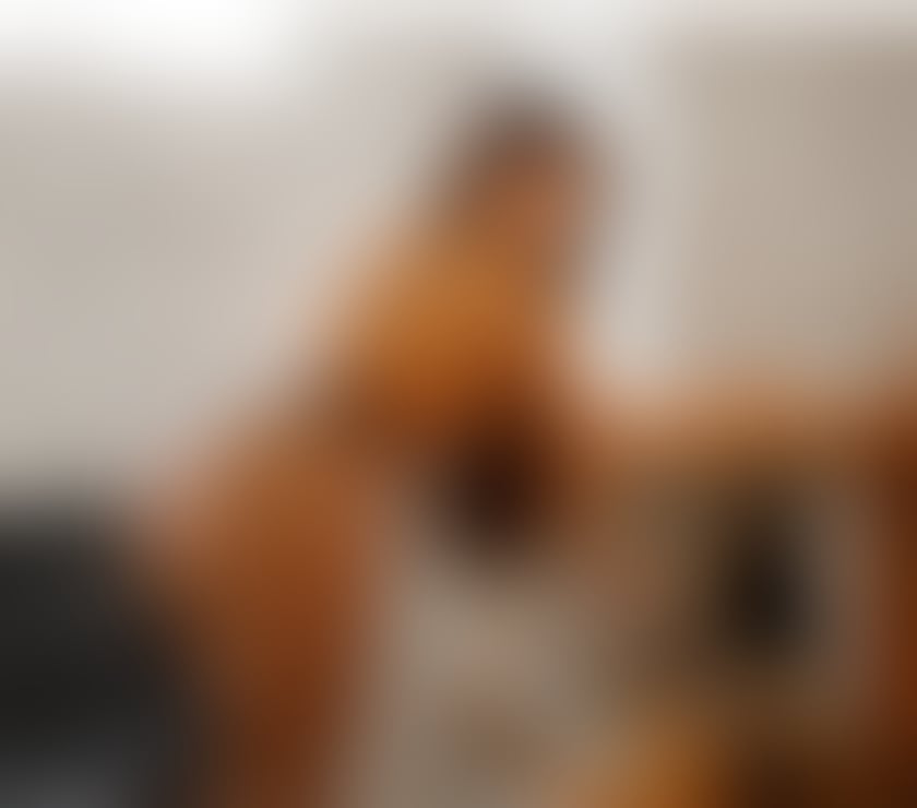 Escorts Central London Bloomsbury - Central London - Photos for Erotic massage and premium service.