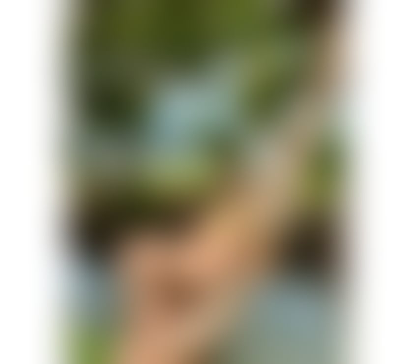 Escorts Greater Manchester Manchester - Photos for 🔥Bia Brazilian 🇧🇷 Girl in town ❤️