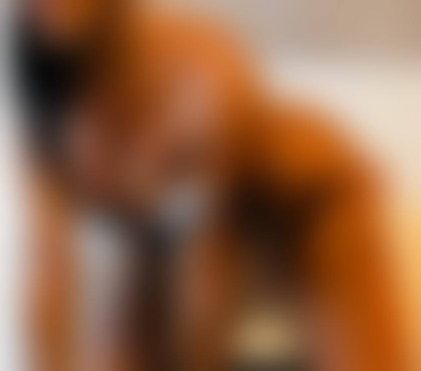 Escorts Shropshire Shrewsbury - Shropshire - Photos for Genuine Latina party girl 🔥KARLA🤩
