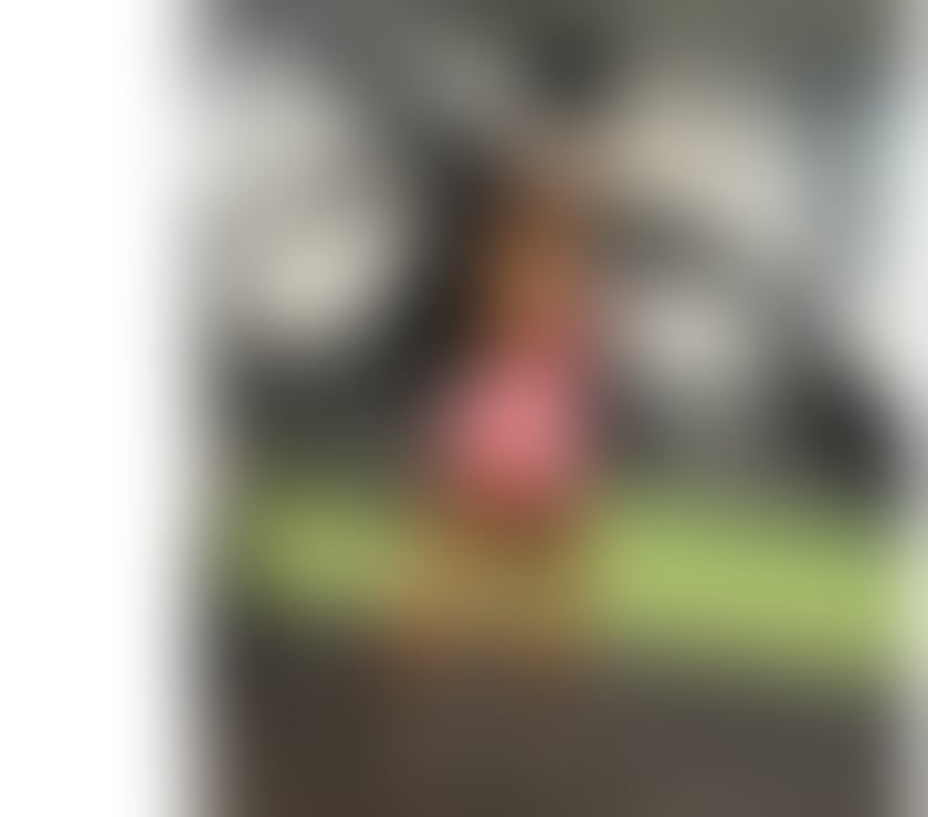 Escorts West Yorkshire Bradford - Photos for New Brazilian Beauty 🇧🇷 100% Real • for a few days