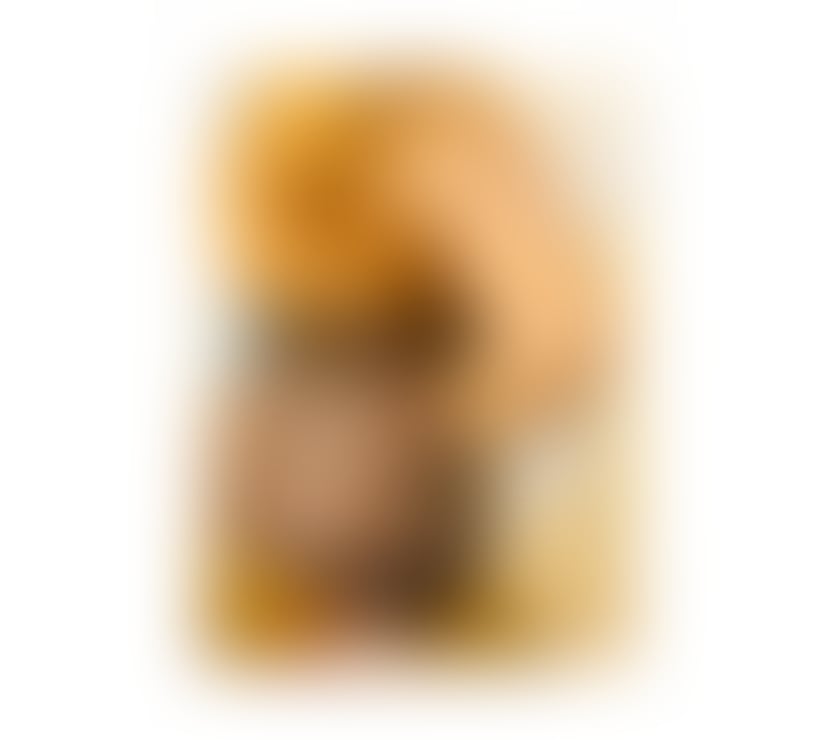 Escorts West Midlands Birmingham - Photos for Sassy BBW Ebony Milfy (No Rush Service)