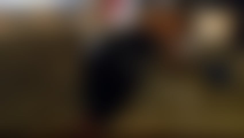Escorts Kent Gravesham - 