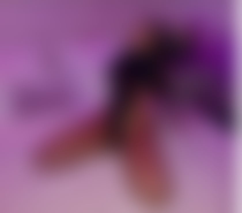 Escorts Hampshire Portsmouth - Photos for HELEN💕PARTY GIRL🎉ARRIVED NOW✅NEW IN TOWN🥰