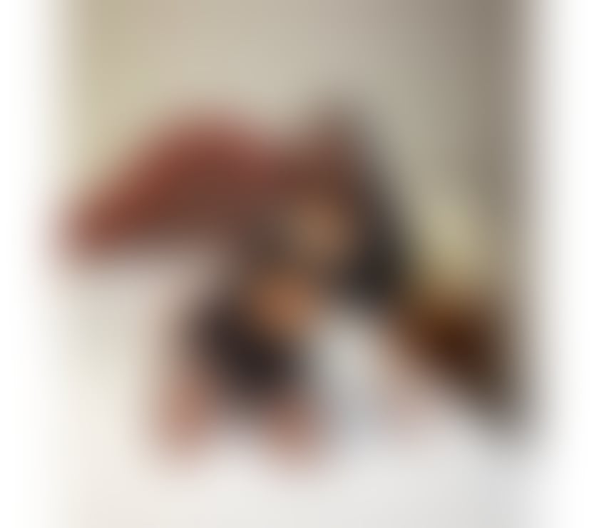 Escorts Renfrewshire Paisley - Renfrewshire - Photos for ANITTA 🇧🇷 VIDEO CALL CONFIRMATION AVAILABLE💓🍯