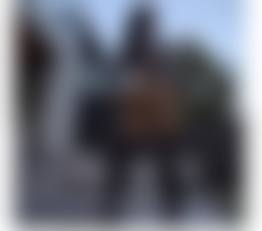 Escorts South East London Bromley - Photos for ANIA🔥🔝REAL PICS💥GENUINE SWEET AND SEXY