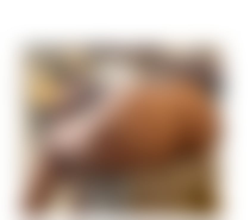 Belvedere - Bexley — 🌹CURVY & SEXY EBONY 🔥 INCALL x OUTCALL ❤️