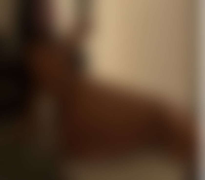 Escorts Warrington Warrington Town Centre - Warrington - Photos for Maria – Incall & Outcall | Discreet & Friendly Service