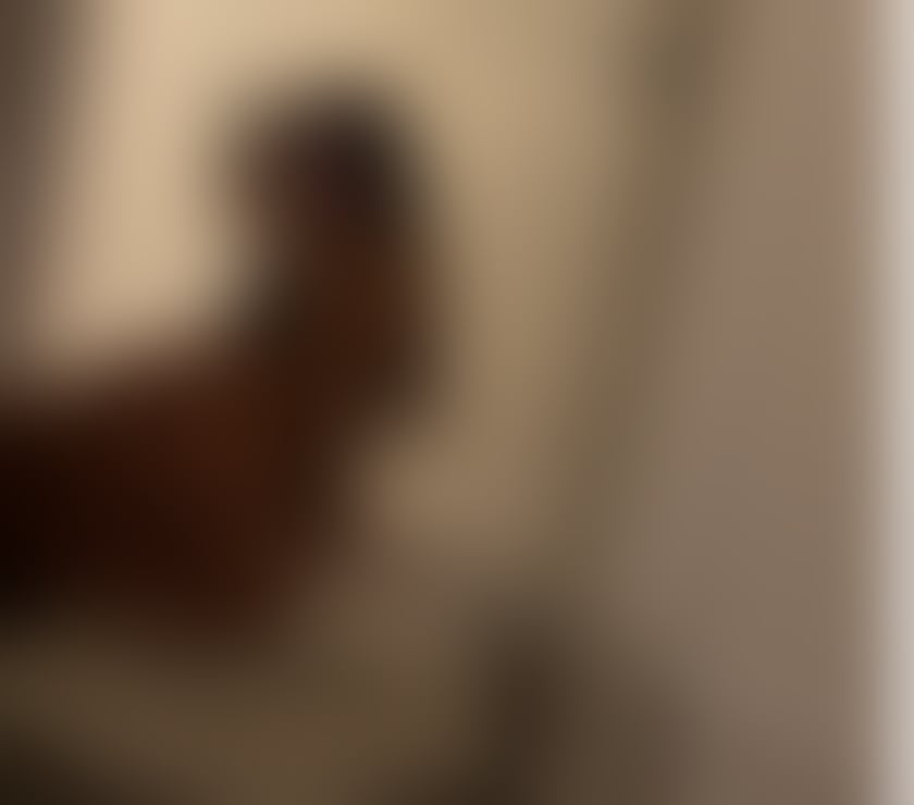 Escorts Warrington Warrington Town Centre - Warrington - Photos for Maria – Incall & Outcall | Discreet & Friendly Service