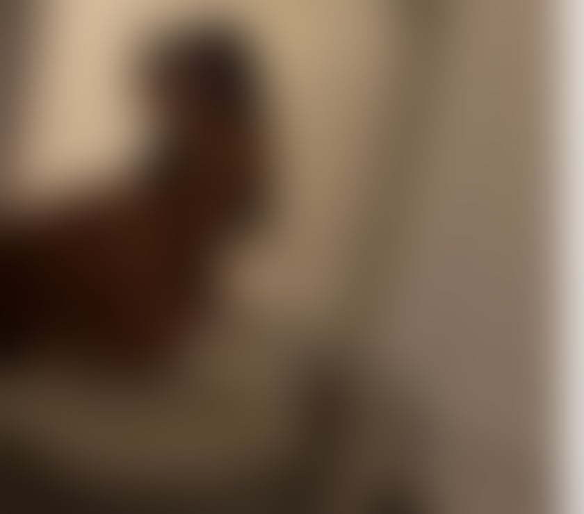 Escorts Cheshire West and Chester Chester - Cheshire West and Chester - Photos for Maria – Outcall Service in Chester