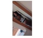 Guildford Town Centre - Guildford — Lorena girl Brazilian 🌺❣️🇧🇷
