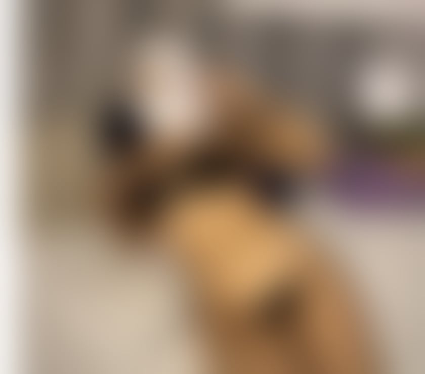 Escorts Greater Manchester Stockport - Photos for Available now♠️Incall Outcall📞📞📞