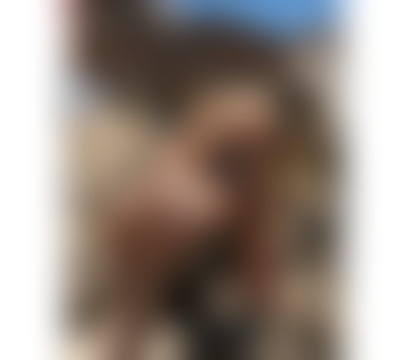 Escorts Falkirk Falkirk Town Centre - Falkirk - Photos for SEXY VANESS. 🍑 PART• GIRL 🍑👠