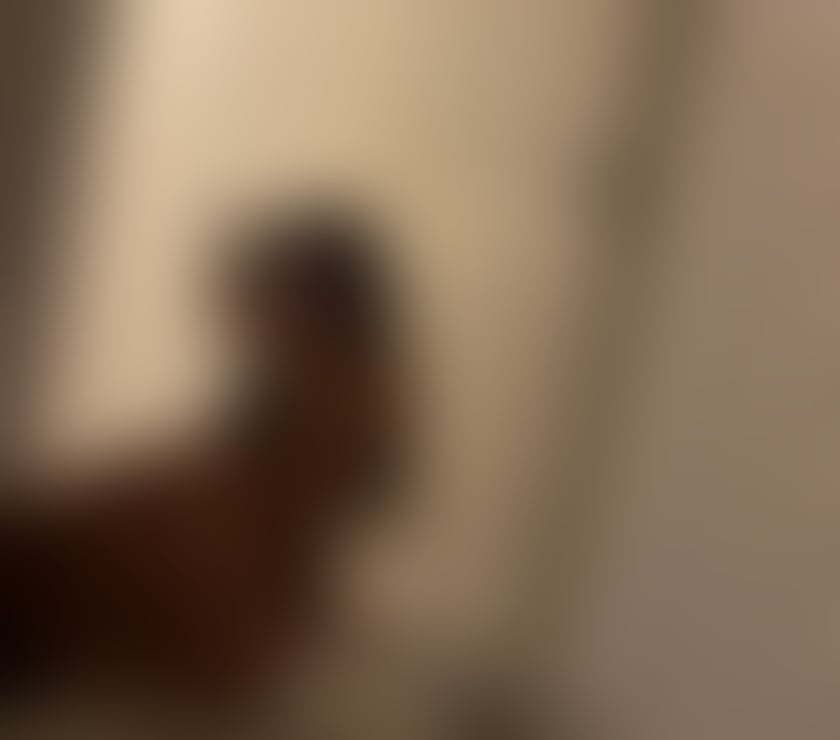 Escorts Greater Manchester Stockport - Photos for Maria – Stockport & Surrounding Areas