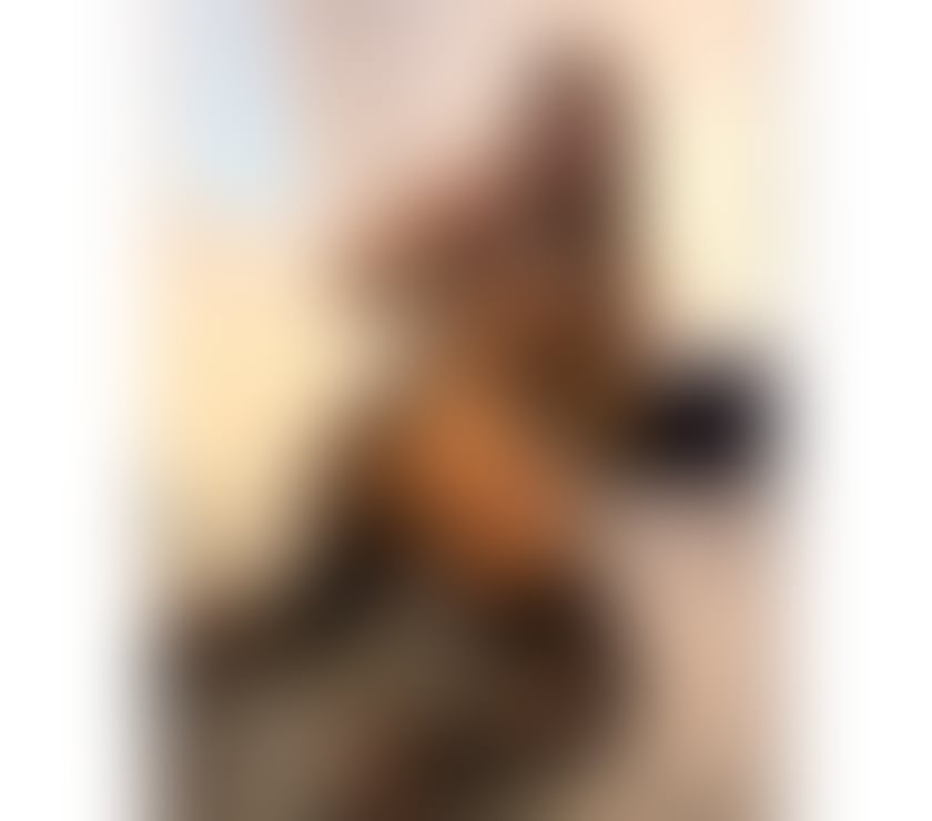 Trans Escorts Bedfordshire Luton - Photos for Ts Millena Brazilian Hot😈🔥