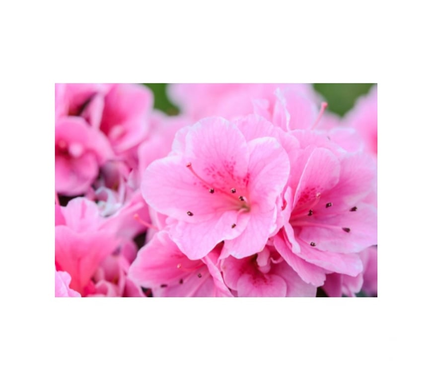 Full body massage Kent Dover - Photos for Professional Full Body Massage