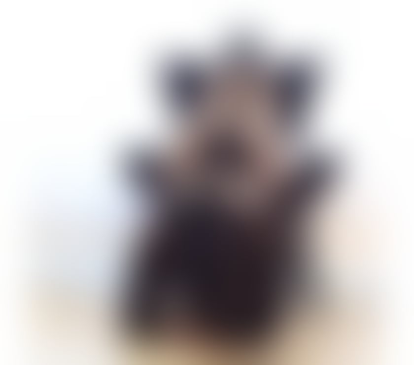 Escorts West London Hillingdon - Photos for 💚💚PATRICIA SEXY LADY💚 BRAZILIAN ONLY 💚💚