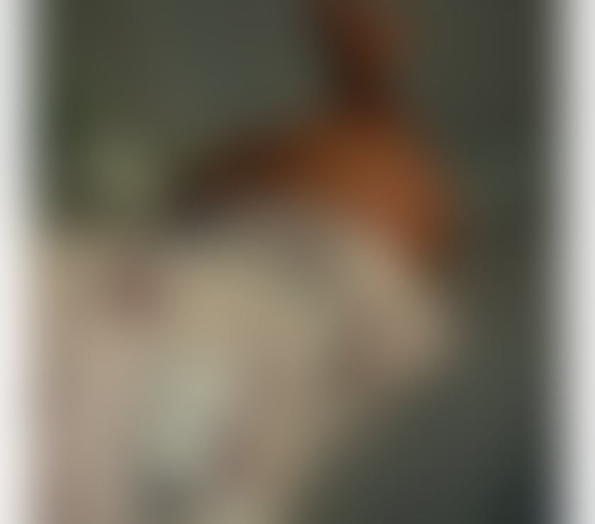 Escorts Brent Wembley - Brent - Photos for 🍫HONEY ZAFIRA🍫