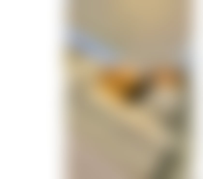 Escorts North London East Finchley - North London - Photos for Vick ! Brazilian new 🇧🇷🇧🇷🇧🇷